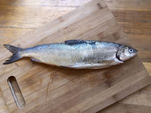 Ammattikalastaja, haluatko kasvattaa kalan suoramyyntiä?