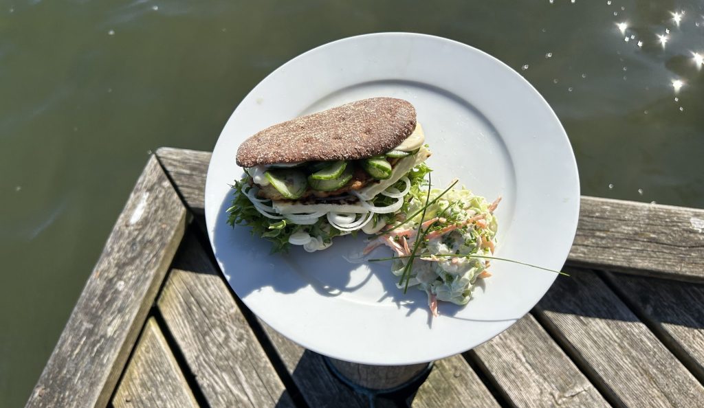 Haukiburgeri ja raparperikaalisalaattia