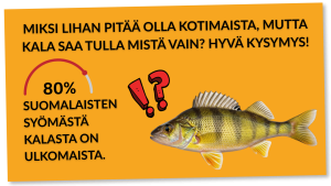 Miksi lihan pitää olla kotimaista, mutta kala voi tulla mistä vaan?